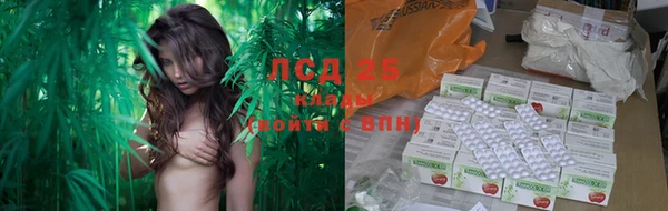 прущие грибы Богородск