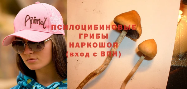 мяу мяу кристалл Бородино