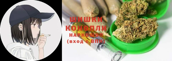 прущие грибы Богородск